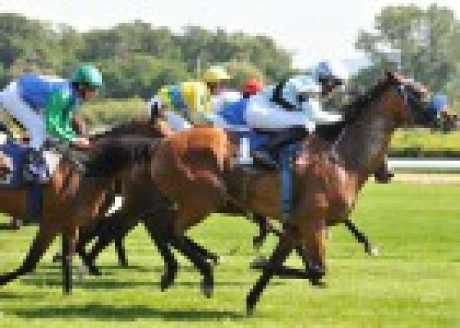 6-7 августа. Барнаул. Краевой ипподром. «Кубок Губернатора Алтайского края».