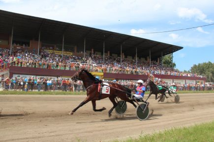 На барнаульском ипподроме прошли «Кубок губернатора Алтайского края» и фестиваль орловского рысака «Сибирь-2016» (фото).