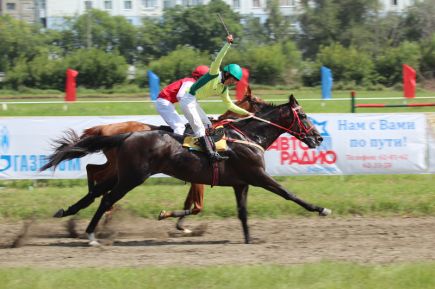 На барнаульском ипподроме прошли «Кубок губернатора Алтайского края» и фестиваль орловского рысака «Сибирь-2016» (фото).