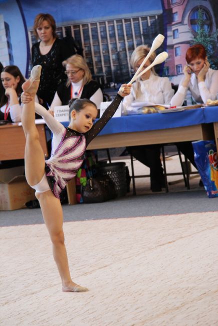 Большая семья