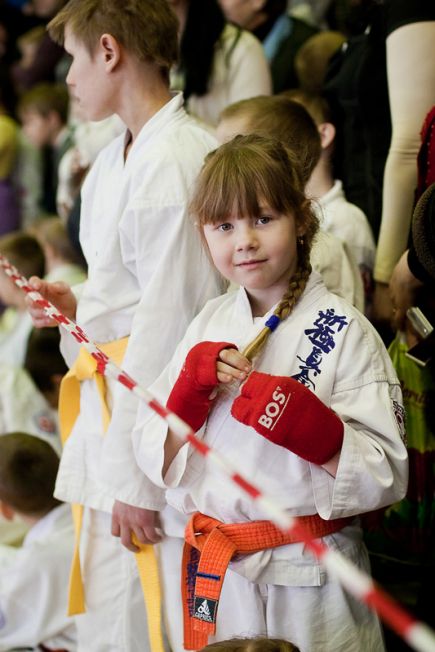 В Барнауле завершилось Открытое первенство Алтайского края по шинкиокушинкай каратэ (фото).