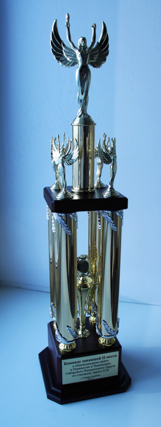 Алтайские спортсмены завоевали 26 медалей на первенстве и чемпионате Сибирского федерального округа по стилевому каратэ (раздел спортивное контактное каратэ).