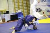 Соревнования по дзюдо в рамках краевой универсиады выиграли студенты АлтГПУ (фото)