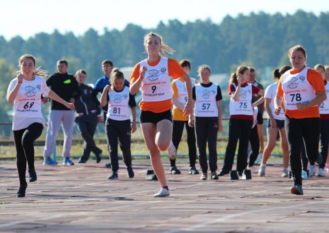 Мастера на все руки