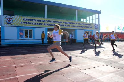 Мастера на все руки