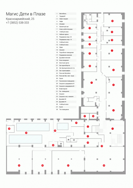 В Барнауле 24 сентября откроется клуб для спортивного, творческого и интеллектуального развития «Магис Дети».
