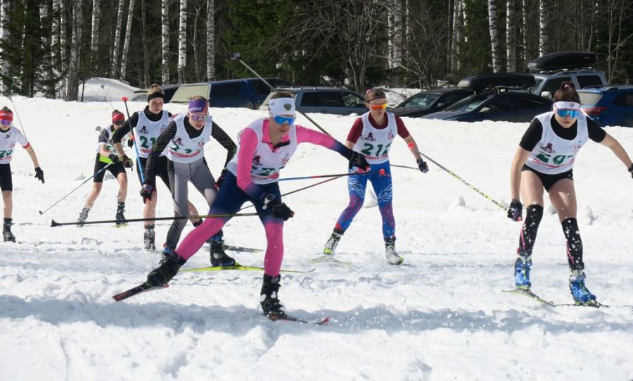 Фото: Андрей Бобров