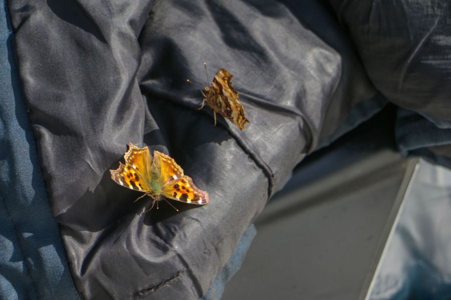 Фото: Соня Ерёмина