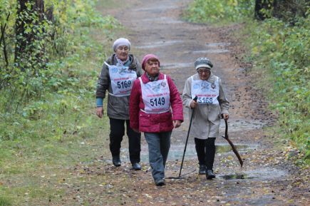 Мы идём, шагаем по стране!
