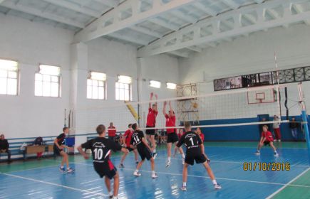 Определились финалисты краевого фестиваля детского волейбола «Здесь зажигаются звёзды» (фото).