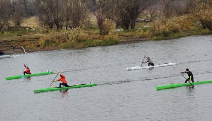 Укрепили берег