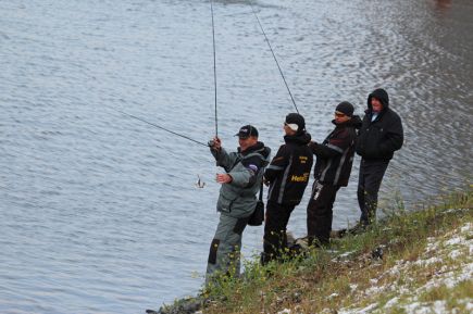 Укрепили берег