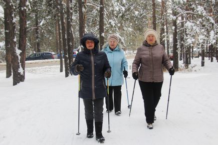 Зимняя сказка в лесу