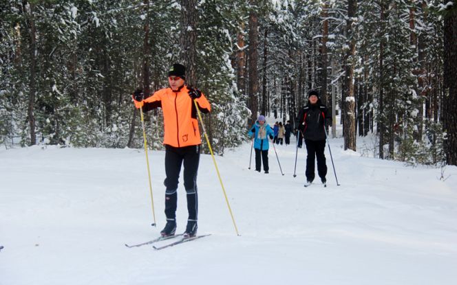 Зимняя сказка в лесу