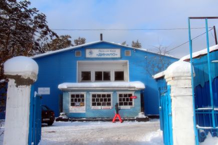 Зимняя сказка в лесу