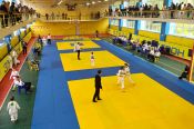 Алтайские спортсмены завоевали четыре медали на открытых соревнованиях Новосибирской области