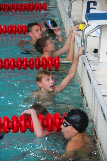 Сибирские дельфины