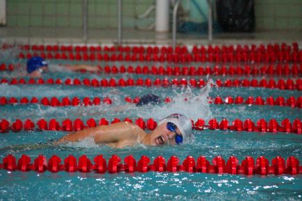 Сибирские дельфины