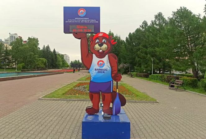 Бобёр Сибиряк считать умеет! Талисман алтайской гребли приглашает гостей на международную «Алтайскую регату. Фестиваль Драконов»