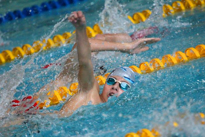 Сибирские дельфины