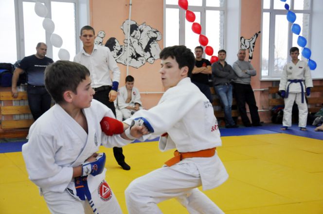 Около 350 детей и подростков приняли участие в краевых соревнованиях «Мастера татами – без наркотиков» в Барнауле (фото).