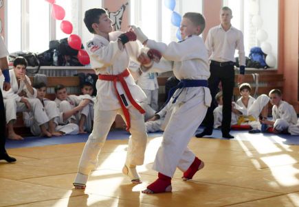 Около 350 детей и подростков приняли участие в краевых соревнованиях «Мастера татами – без наркотиков» в Барнауле (фото).