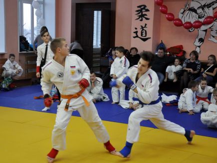 Около 350 детей и подростков приняли участие в краевых соревнованиях «Мастера татами – без наркотиков» в Барнауле (фото).