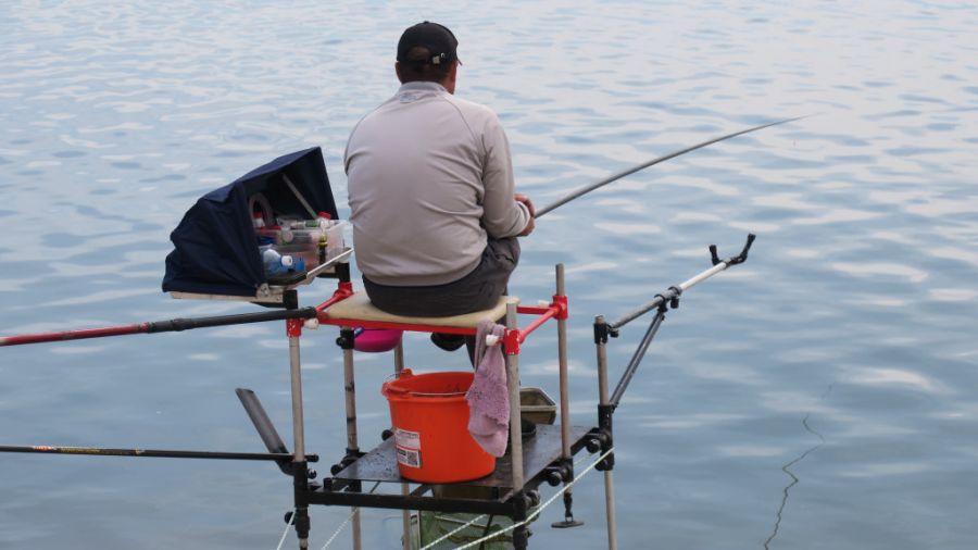 Фото: Андрей Бобров/ "Алтайская правда"