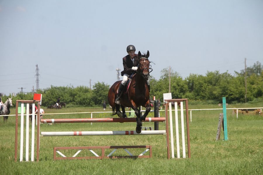 Фото: Ярослав Махначёв