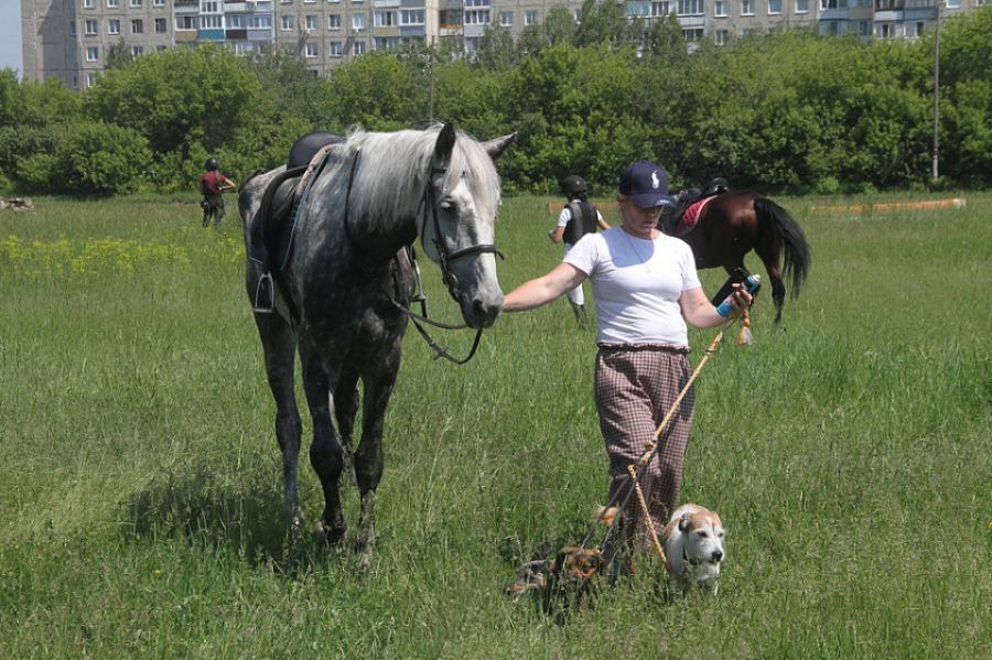 Фото: Ярослав Махначёв