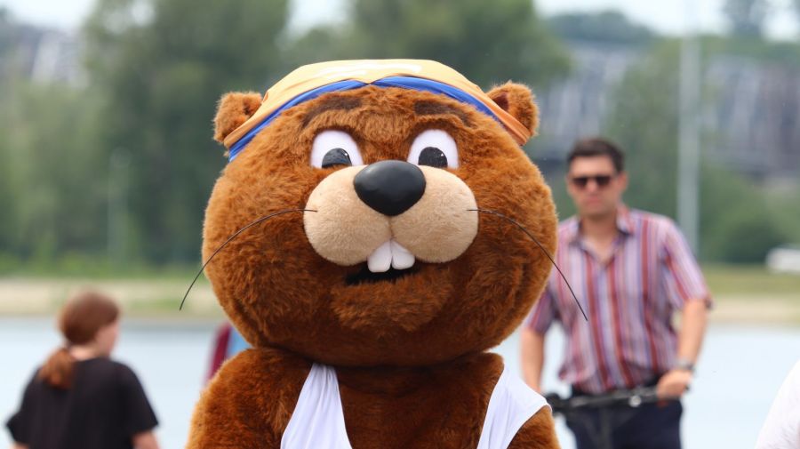 Фото: Александр Чёрный/"Алтайский спорт"