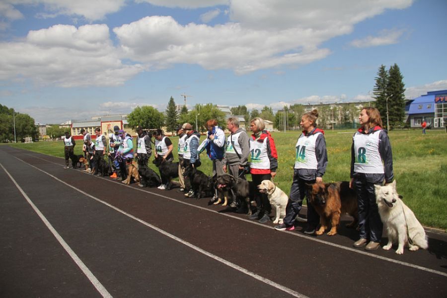 Фото: Ярослав Махначёв