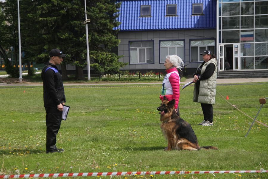Фото: Ярослав Махначёв