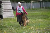 Как в Барнауле дрессируют и готовят к соревнованиям собак 