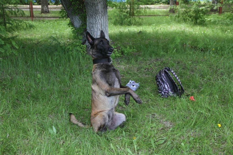 Фото: Ярослав Махначёв