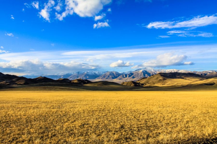 Фото: silkwayrally.com