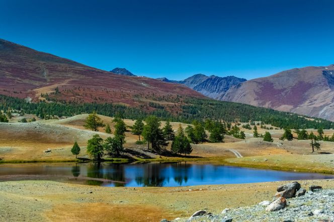 Фото: silkwayrally.com