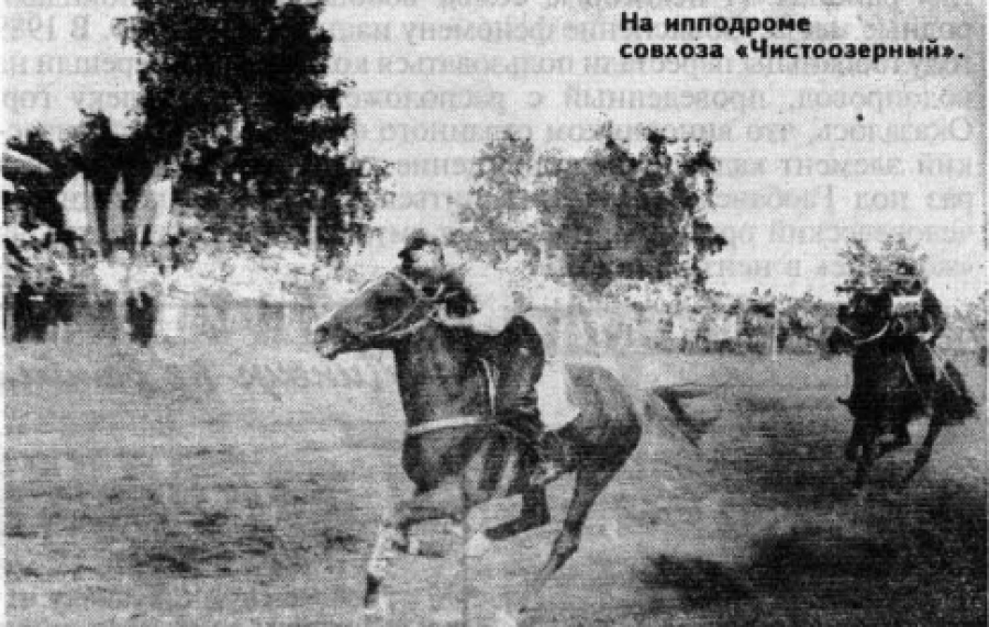 Фото: Виктор Выборов/"Алтайская правда"