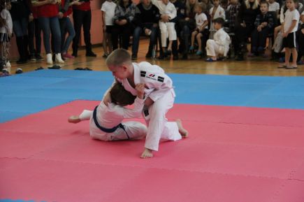 Спортивный центр Ивана Нифонтова «Триумф» торжественно отметил первый год своей работы.