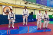 Андрей Шорохов и Никита Степанов – бронзовые призёры чемпионата России по джиу-джитсу.
