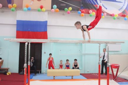 В Барнауле состоялся X турнир на призы заслуженного мастера спорта Сергея Хорохордина (фото).