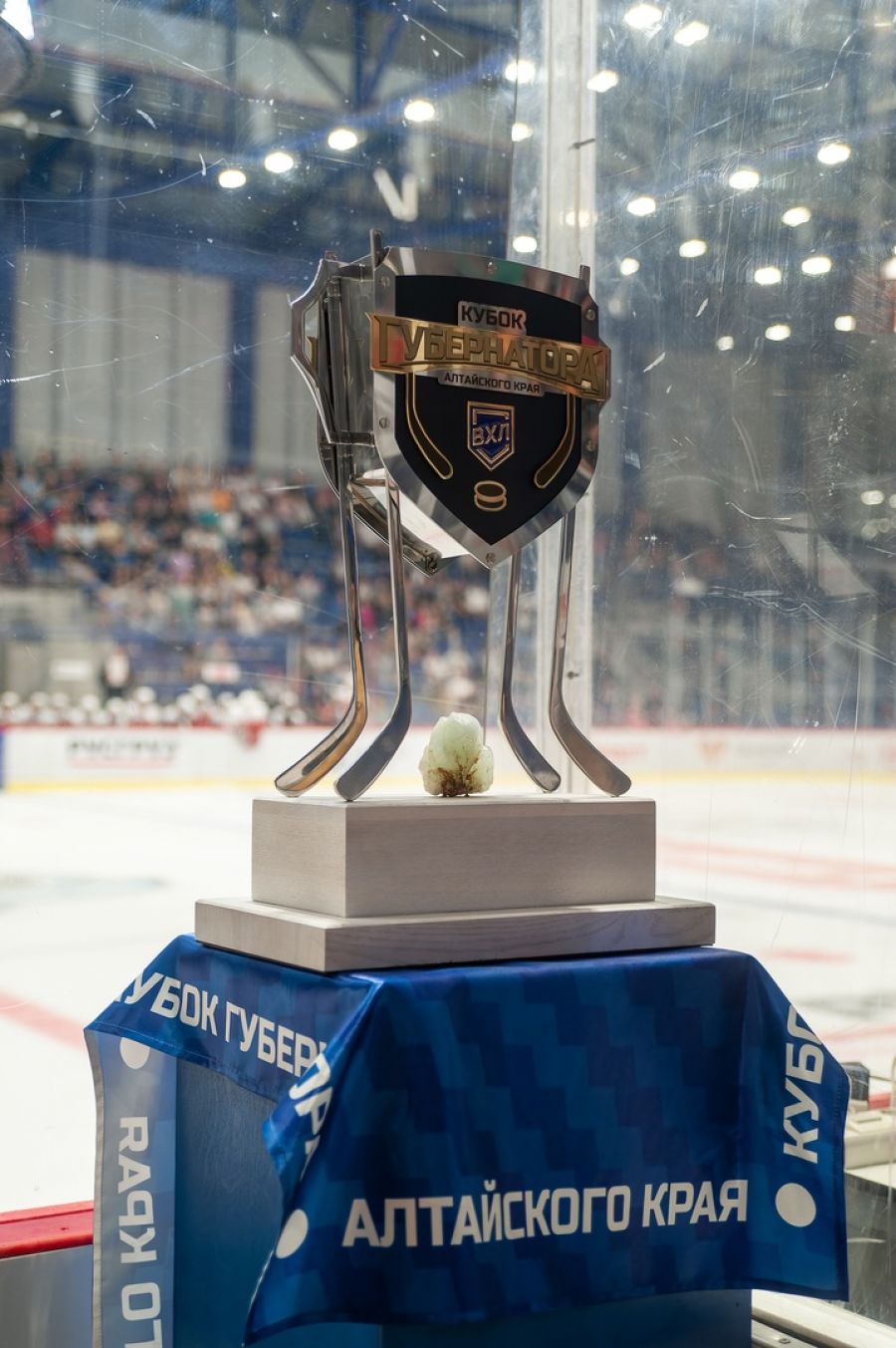 Фото: пресс-служба ХК "Динамо-Алтай"