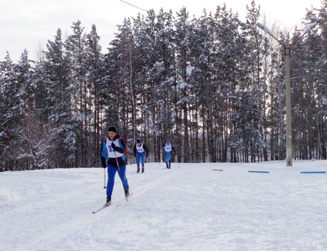 Прогулки над Бией