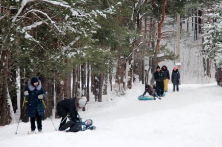 Прогулки над Бией