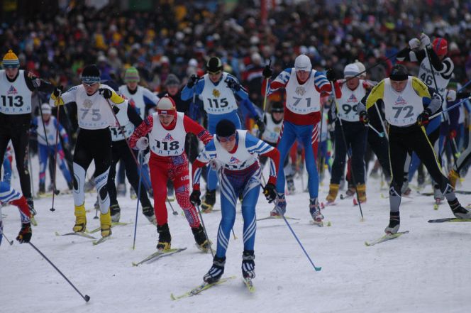 Тысячи призов в лесу