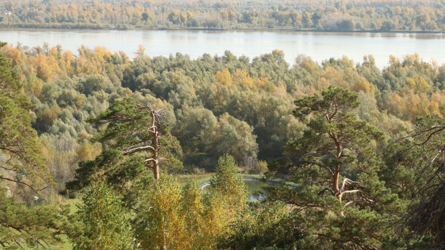 Фото: Александр Чёрный/"Алтайский спорт"