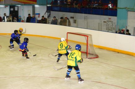 Славгородский "Кристалл" - победитель краевого этапа всероссийского турнира на призы клуба "Золотая шайба" среди юношей 2006-2007 годов рождения.