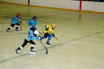 Славгородский "Кристалл" - победитель краевого этапа всероссийского турнира на призы клуба "Золотая шайба" среди юношей 2006-2007 годов рождения.