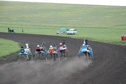 ДЮСШ Смоленского района приглашает для проведения учебно-тренировочных сборов команды по волейболу, баскетболу, футболу, лёгкой атлетике, гиревому спорту и пауэрлифтингу (фото).