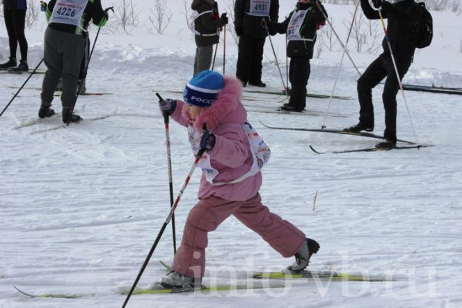 11-12 февраля. Города и районы Алтайского края. XXXV открытая всероссийская массовая лыжная гонка "Лыжня России-2017». 